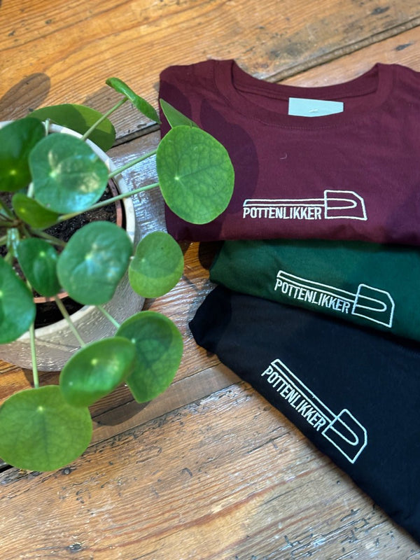 Drie T-shirts met pottenlekker in bordeaux, groen en navy